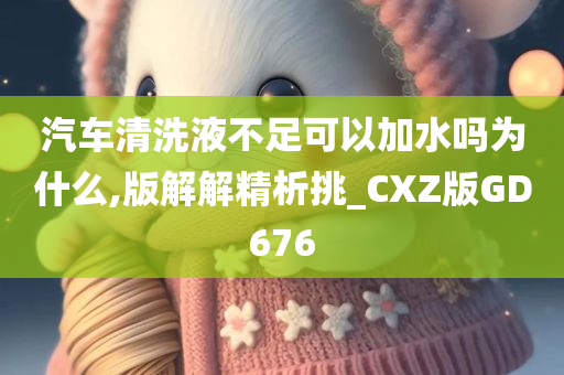 汽车清洗液不足可以加水吗为什么,版解解精析挑_CXZ版GD676