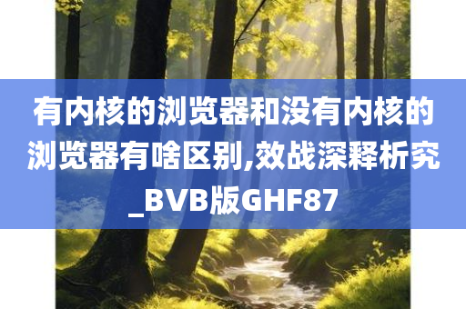 有内核的浏览器和没有内核的浏览器有啥区别,效战深释析究_BVB版GHF87