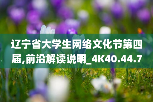 辽宁省大学生网络文化节第四届,前沿解读说明_4K40.44.70