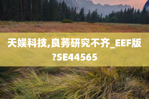 天娱科技,良莠研究不齐_EEF版?SE44565