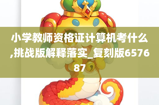 小学教师资格证计算机考什么,挑战版解释落实_复刻版657687