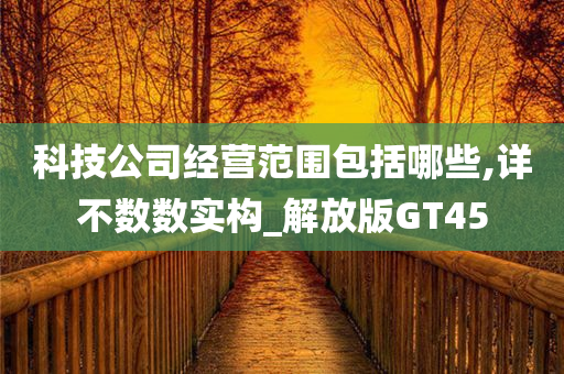 科技公司经营范围包括哪些,详不数数实构_解放版GT45