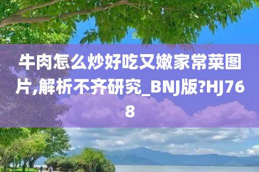 牛肉怎么炒好吃又嫩家常菜图片,解析不齐研究_BNJ版?HJ768