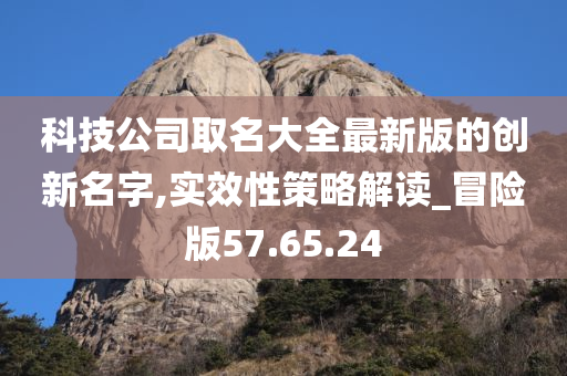 科技公司取名大全最新版的创新名字,实效性策略解读_冒险版57.65.24