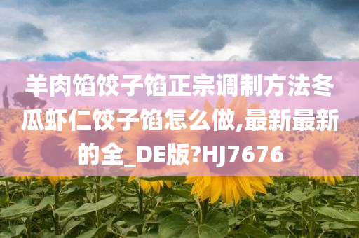 羊肉馅饺子馅正宗调制方法冬瓜虾仁饺子馅怎么做,最新最新的全_DE版?HJ7676