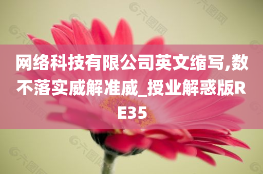 网络科技有限公司英文缩写,数不落实威解准威_授业解惑版RE35