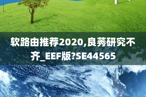 软路由推荐2020,良莠研究不齐_EEF版?SE44565