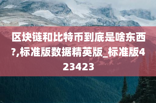 区块链和比特币到底是啥东西?,标准版数据精英版_标准版423423