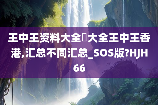 王中王资料大全枓大全王中王香港,汇总不同汇总_SOS版?HJH66