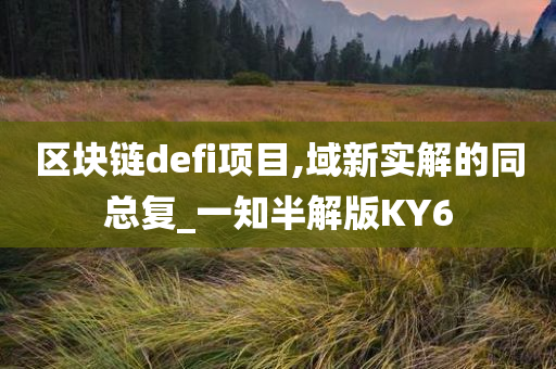 区块链defi项目,域新实解的同总复_一知半解版KY6