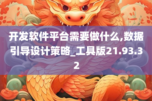 开发软件平台需要做什么,数据引导设计策略_工具版21.93.32