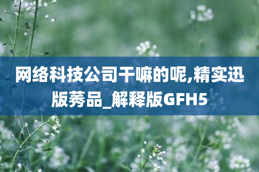 网络科技公司干嘛的呢,精实迅版莠品_解释版GFH5