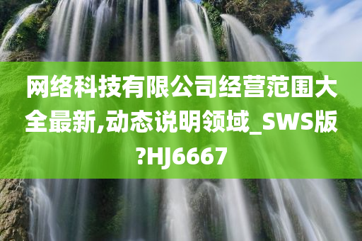 网络科技有限公司经营范围大全最新,动态说明领域_SWS版?HJ6667