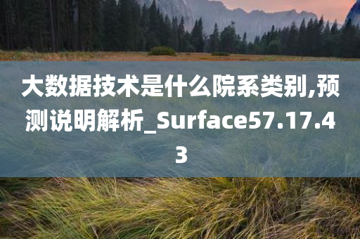 大数据技术是什么院系类别,预测说明解析_Surface57.17.43