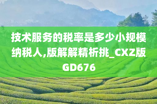 技术服务的税率是多少小规模纳税人,版解解精析挑_CXZ版GD676