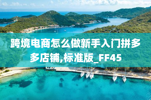 跨境电商怎么做新手入门拼多多店铺,标准版_FF45