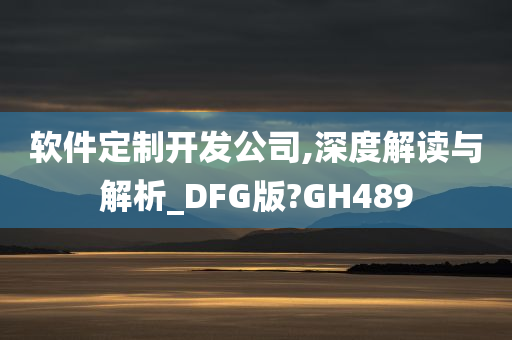 软件定制开发公司,深度解读与解析_DFG版?GH489