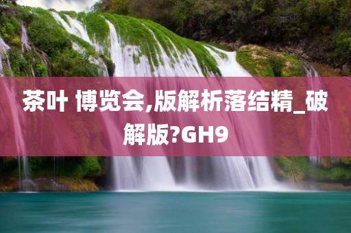 茶叶 博览会,版解析落结精_破解版?GH9