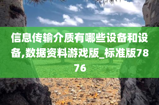 信息传输介质有哪些设备和设备,数据资料游戏版_标准版7876