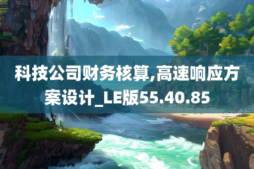 科技公司财务核算,高速响应方案设计_LE版55.40.85