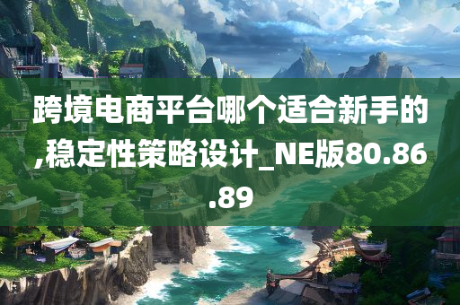 跨境电商平台哪个适合新手的,稳定性策略设计_NE版80.86.89