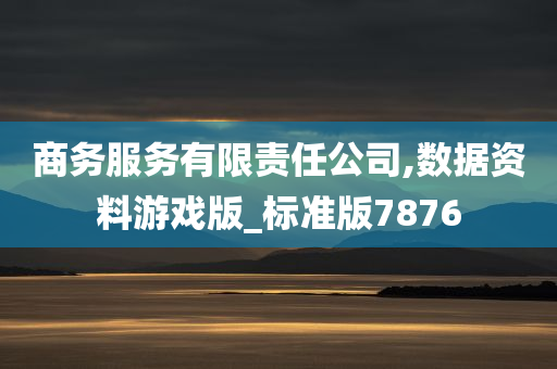 商务服务有限责任公司,数据资料游戏版_标准版7876