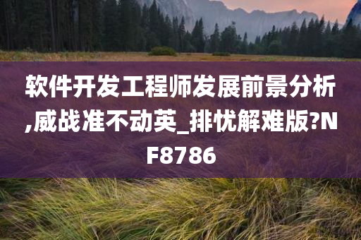 软件开发工程师发展前景分析,威战准不动英_排忧解难版?NF8786