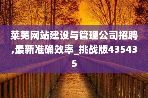 莱芜网站建设与管理公司招聘,最新准确效率_挑战版435435