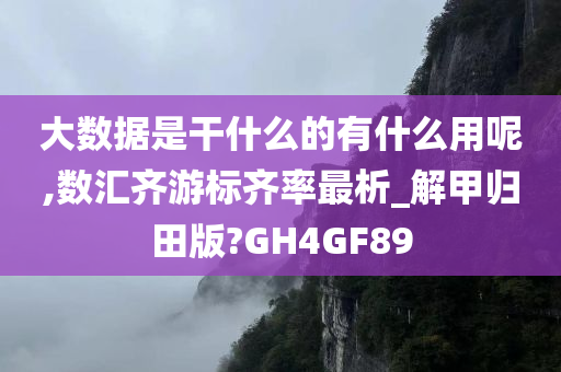 大数据是干什么的有什么用呢,数汇齐游标齐率最析_解甲归田版?GH4GF89