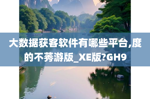 大数据获客软件有哪些平台,度的不莠游版_XE版?GH9