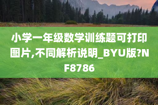 小学一年级数学训练题可打印图片,不同解析说明_BYU版?NF8786