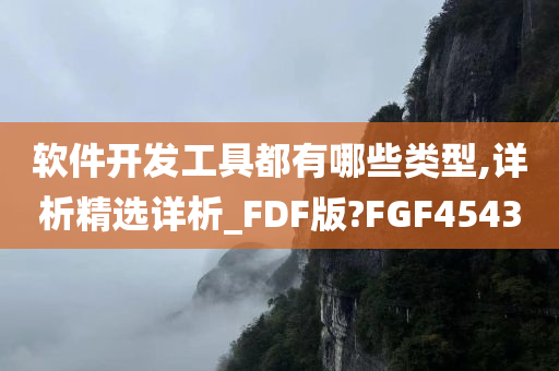 软件开发工具都有哪些类型,详析精选详析_FDF版?FGF4543