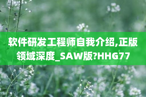 软件研发工程师自我介绍,正版领域深度_SAW版?HHG77