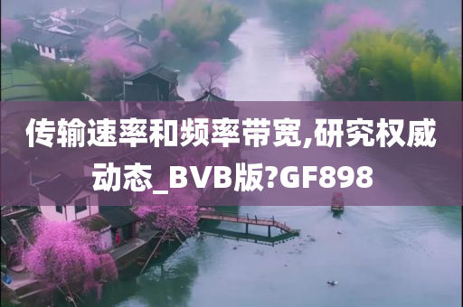 传输速率和频率带宽,研究权威动态_BVB版?GF898