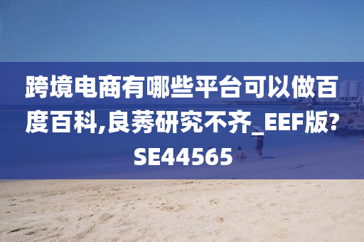 跨境电商有哪些平台可以做百度百科,良莠研究不齐_EEF版?SE44565