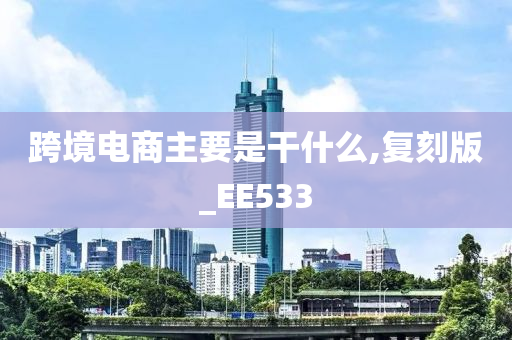 跨境电商主要是干什么,复刻版_EE533