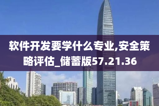 软件开发要学什么专业,安全策略评估_储蓄版57.21.36