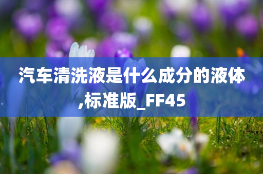 汽车清洗液是什么成分的液体,标准版_FF45