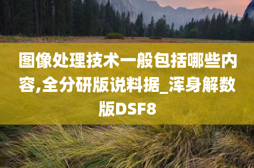 图像处理技术一般包括哪些内容,全分研版说料据_浑身解数版DSF8