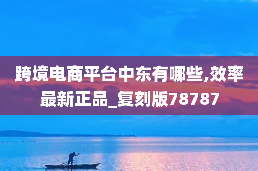 跨境电商平台中东有哪些,效率最新正品_复刻版78787