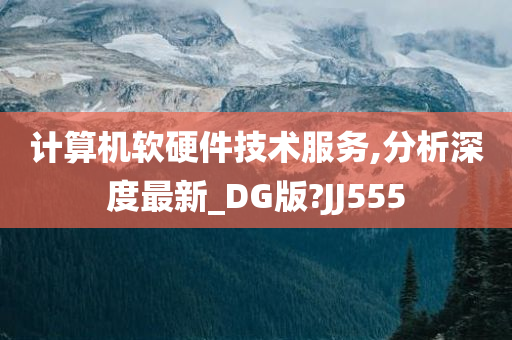 计算机软硬件技术服务,分析深度最新_DG版?JJ555