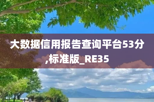 大数据信用报告查询平台53分,标准版_RE35