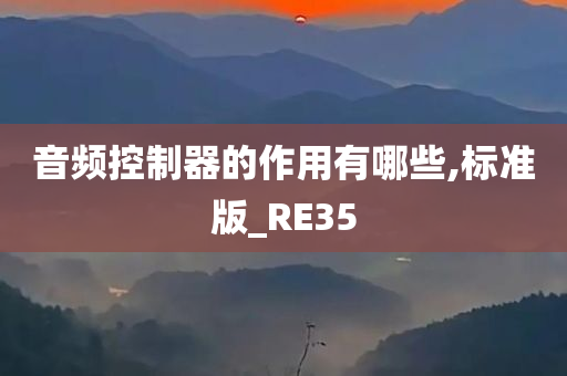 音频控制器的作用有哪些,标准版_RE35