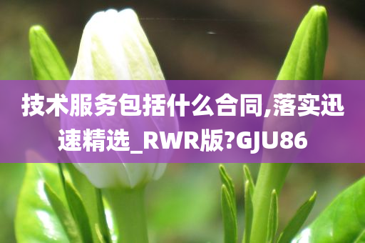 技术服务包括什么合同,落实迅速精选_RWR版?GJU86