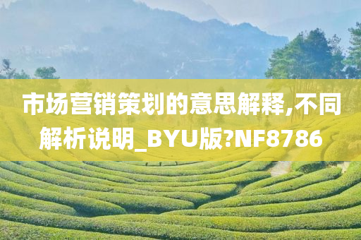 市场营销策划的意思解释,不同解析说明_BYU版?NF8786