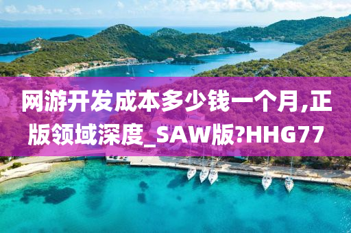 网游开发成本多少钱一个月,正版领域深度_SAW版?HHG77