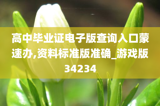 高中毕业证电子版查询入口蒙速办,资料标准版准确_游戏版34234