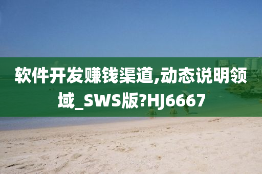 软件开发赚钱渠道,动态说明领域_SWS版?HJ6667