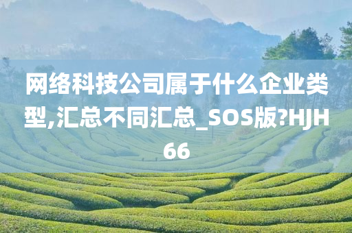 网络科技公司属于什么企业类型,汇总不同汇总_SOS版?HJH66