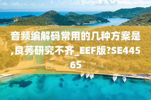 音频编解码常用的几种方案是,良莠研究不齐_EEF版?SE44565